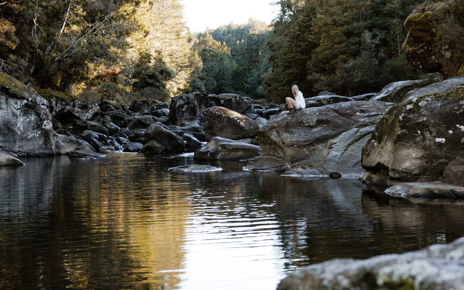 Perimenopause and cholesterol - What you need to know…