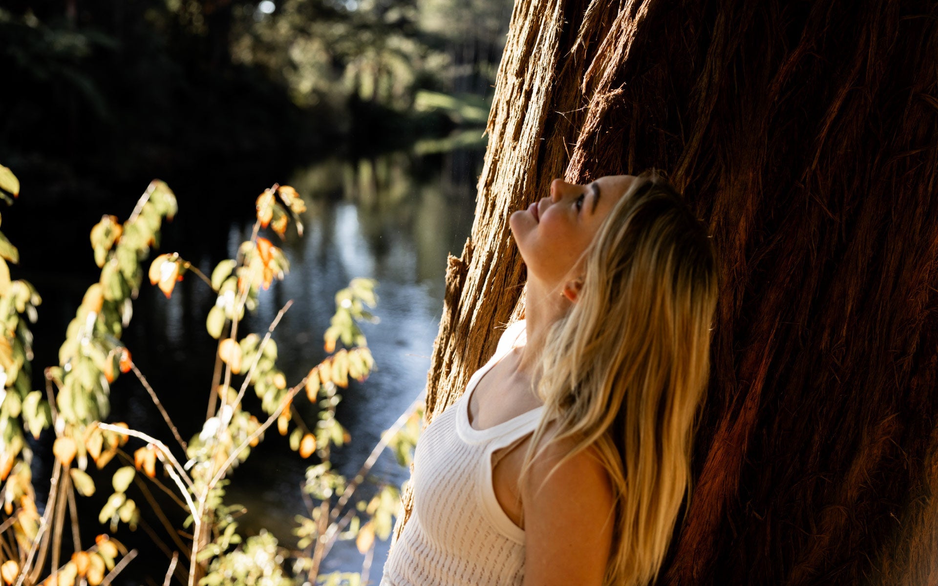 8 reasons why zinc is so important for women’s wellbeing